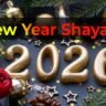 New Year Shayari